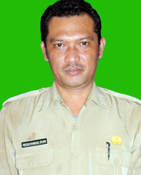 Profil